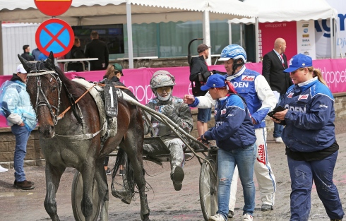 image (1)
